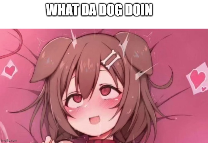 what da korone doin | WHAT DA DOG DOIN | image tagged in vtuber,doge | made w/ Imgflip meme maker