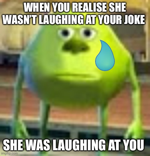 SO TRUE | WHEN YOU REALISE SHE WASN’T LAUGHING AT YOUR JOKE; SHE WAS LAUGHING AT YOU | image tagged in sully wazowski | made w/ Imgflip meme maker