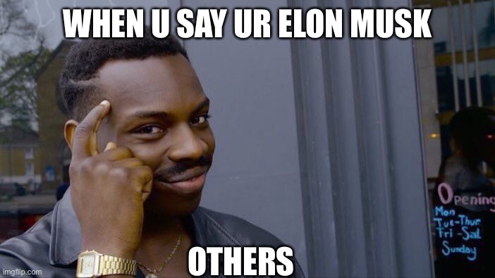 Roll Safe Think About It Meme | WHEN U SAY UR ELON MUSK; OTHERS | image tagged in memes,roll safe think about it | made w/ Imgflip meme maker