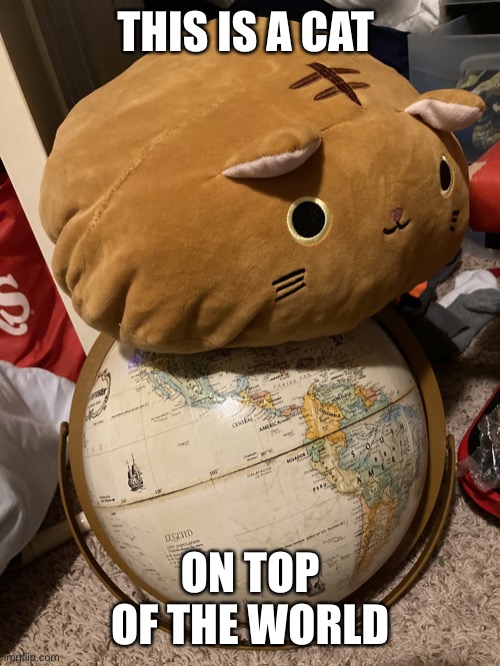 Cat on earth | THIS IS A CAT; ON TOP OF THE WORLD | image tagged in meow | made w/ Imgflip meme maker