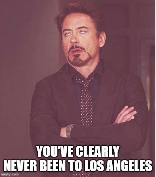 Face You Make Robert Downey Jr Meme | YOU'VE CLEARLY NEVER BEEN TO LOS ANGELES | image tagged in memes,face you make robert downey jr | made w/ Imgflip meme maker