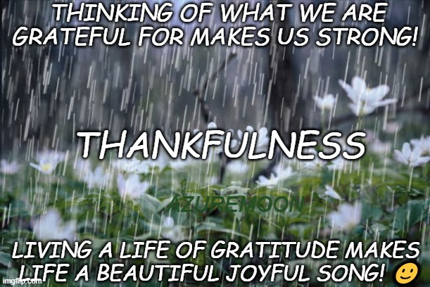 THANKFULNESS LEADS TO JOY | THINKING OF WHAT WE ARE GRATEFUL FOR MAKES US STRONG! THANKFULNESS; AZUREMOON; LIVING A LIFE OF GRATITUDE MAKES 
LIFE A BEAUTIFUL JOYFUL SONG! 🙂 | image tagged in happy thanksgiving,gratitude,inspire the people,joy,beautiful,thoughts and prayers | made w/ Imgflip meme maker