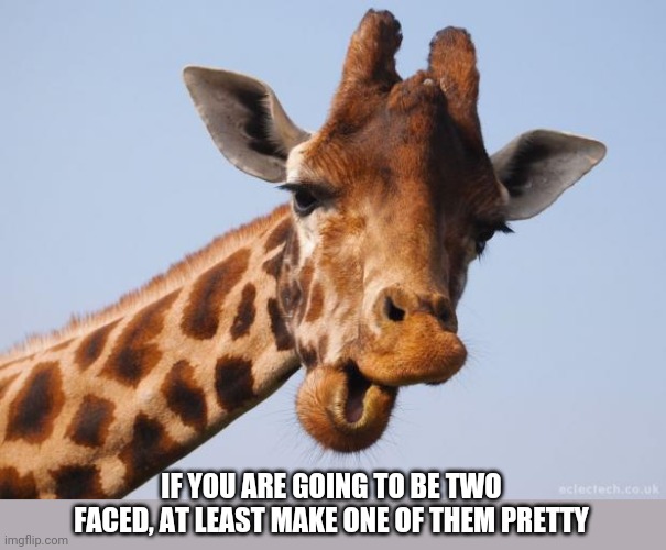 Comeback Giraffe | IF YOU ARE GOING TO BE TWO FACED, AT LEAST MAKE ONE OF THEM PRETTY | image tagged in comeback giraffe | made w/ Imgflip meme maker