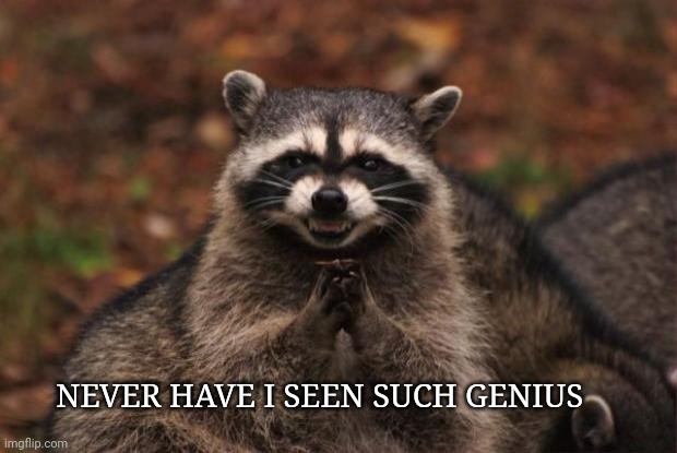 evil genius racoon | NEVER HAVE I SEEN SUCH GENIUS | image tagged in evil genius racoon | made w/ Imgflip meme maker