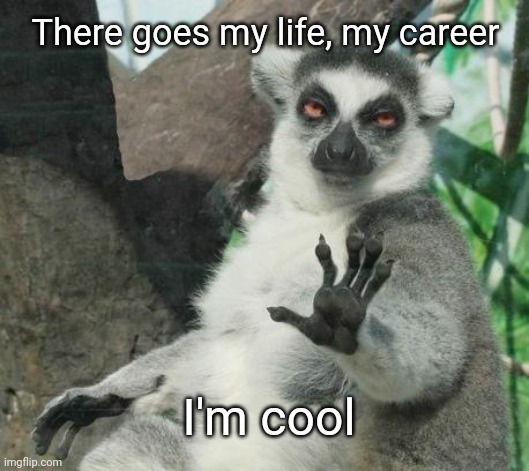 Stoner Lemur Meme | There goes my life, my career I'm cool | image tagged in memes,stoner lemur | made w/ Imgflip meme maker