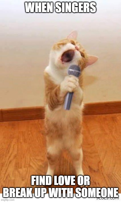 Cat Singer | WHEN SINGERS; FIND LOVE OR BREAK UP WITH SOMEONE | image tagged in cat singer | made w/ Imgflip meme maker