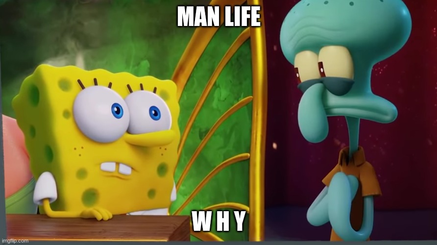 MAN LIFE; W H Y | made w/ Imgflip meme maker