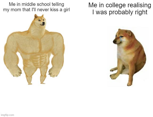 Know what I mean | Me in middle school telling my mom that I'll never kiss a girl; Me in college realising I was probably right | image tagged in memes,buff doge vs cheems | made w/ Imgflip meme maker