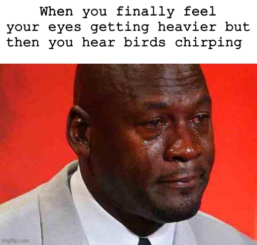 True tho | When you finally feel your eyes getting heavier but then you hear birds chirping | image tagged in crying michael jordan | made w/ Imgflip meme maker