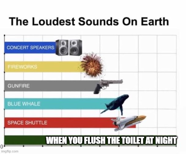 The Loudest Sounds on Earth | WHEN YOU FLUSH THE TOILET AT NIGHT | image tagged in the loudest sounds on earth | made w/ Imgflip meme maker