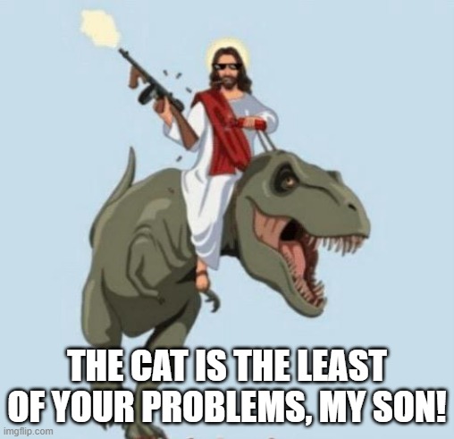 THE CAT IS THE LEAST OF YOUR PROBLEMS, MY SON! | made w/ Imgflip meme maker