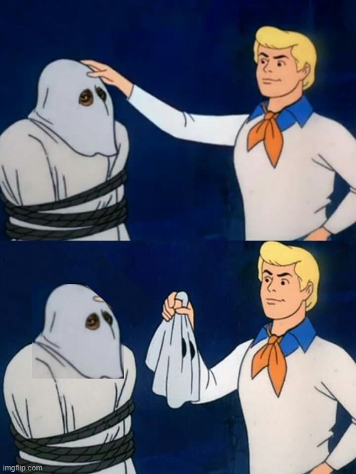 What? | image tagged in scooby doo mask reveal | made w/ Imgflip meme maker