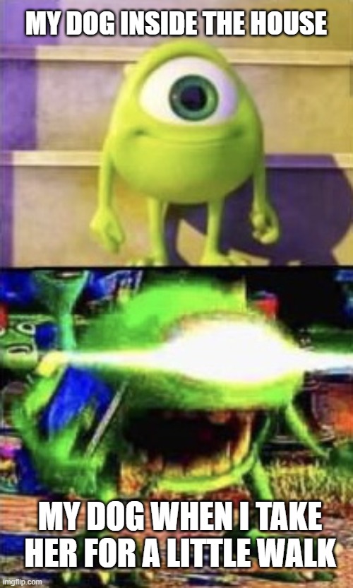 does anyone relate to this, or is it just me.? |  MY DOG INSIDE THE HOUSE; MY DOG WHEN I TAKE HER FOR A LITTLE WALK | image tagged in mike wazowski | made w/ Imgflip meme maker