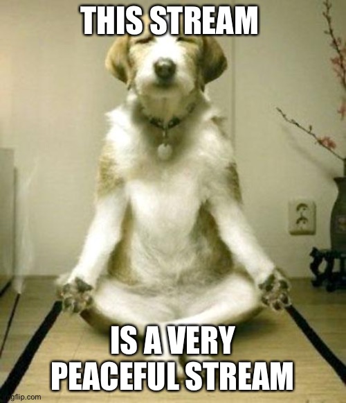 Inner Peace Dog | THIS STREAM; IS A VERY PEACEFUL STREAM | image tagged in inner peace dog | made w/ Imgflip meme maker