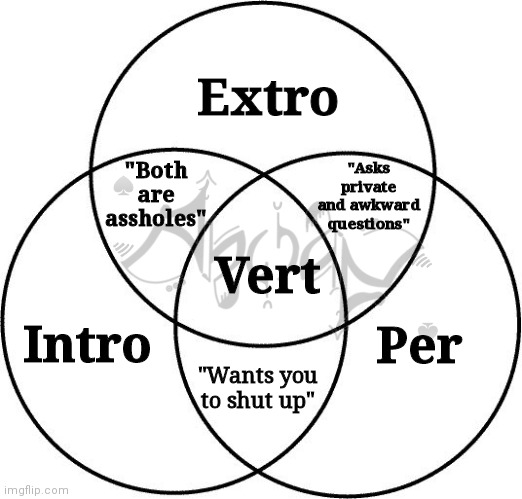 Hehe attack | Extro; "Asks private and awkward questions"; "Both are assholes"; Vert; Intro; Per; "Wants you to shut up" | image tagged in venn diagram | made w/ Imgflip meme maker