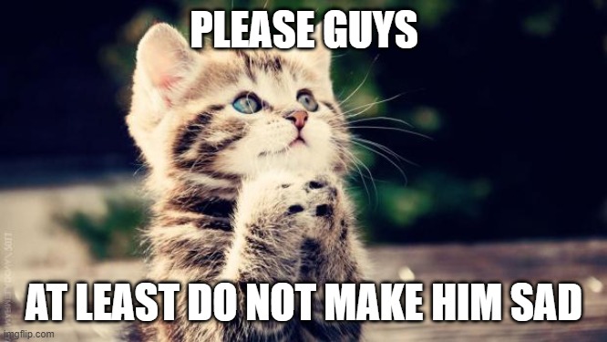 Praying cat | PLEASE GUYS AT LEAST DO NOT MAKE HIM SAD | image tagged in praying cat | made w/ Imgflip meme maker