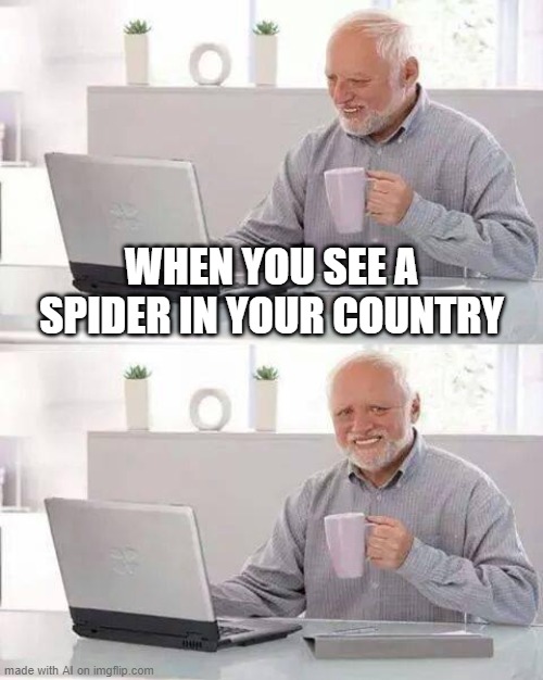 Hide the Pain Harold | WHEN YOU SEE A SPIDER IN YOUR COUNTRY | image tagged in memes,hide the pain harold | made w/ Imgflip meme maker