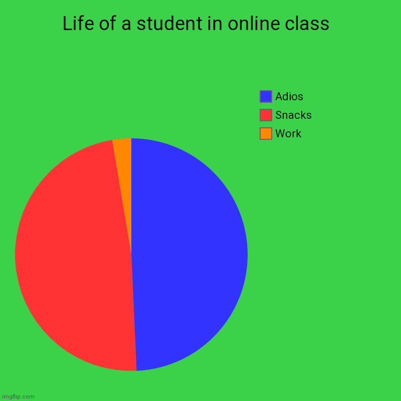 Life of student in a nutshell | Life of a student in online class  | Work, Snacks, Adios | image tagged in charts,pie charts | made w/ Imgflip chart maker