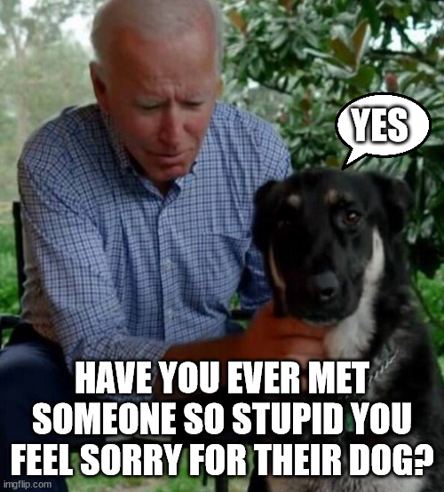 Poor Dog | YES; HAVE YOU EVER MET SOMEONE SO STUPID YOU FEEL SORRY FOR THEIR DOG? | image tagged in joe biden | made w/ Imgflip meme maker
