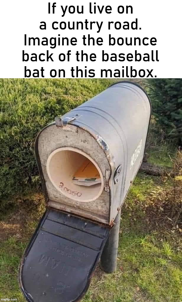 So you don't have to change your mailbox as often. |  If you live on a country road. Imagine the bounce back of the baseball bat on this mailbox. | image tagged in mailbox,country | made w/ Imgflip meme maker