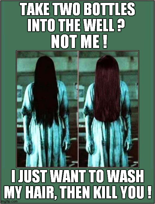 Wash N Go Kill ! | TAKE TWO BOTTLES INTO THE WELL ? NOT ME ! I JUST WANT TO WASH MY HAIR, THEN KILL YOU ! | image tagged in the ring,shampoo,kill,dark humour | made w/ Imgflip meme maker