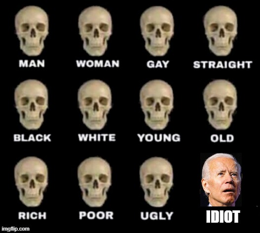 Nothing to see here, just another empty skull | IDIOT | image tagged in idiot skull,biden,joe biden | made w/ Imgflip meme maker