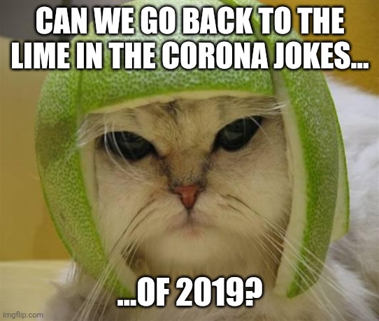 Remember when we all were joking about taking a lime with our corona? | CAN WE GO BACK TO THE LIME IN THE CORONA JOKES... ...OF 2019? | image tagged in lime-cat | made w/ Imgflip meme maker