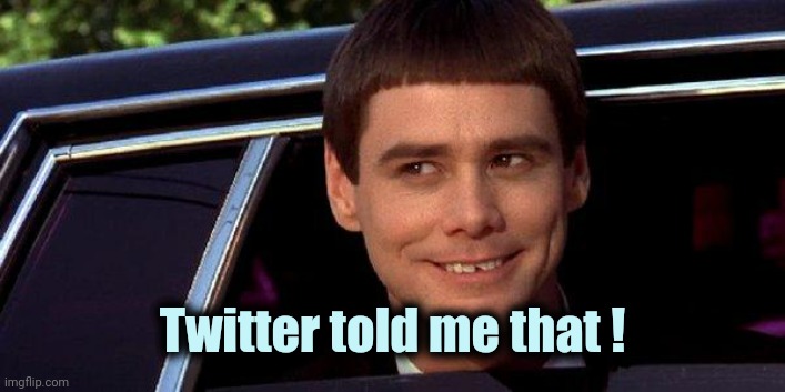 dumb and dumber | Twitter told me that ! | image tagged in dumb and dumber | made w/ Imgflip meme maker