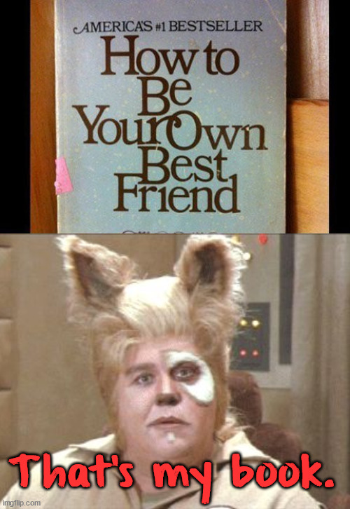 Barf wrote this book. | That's my book. | image tagged in spaceballs | made w/ Imgflip meme maker