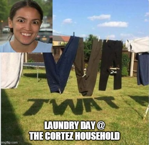 She can't help herself | LAUNDRY DAY @ THE CORTEZ HOUSEHOLD | image tagged in memes | made w/ Imgflip meme maker