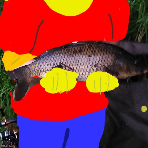 Carp that I caught | image tagged in fish | made w/ Imgflip meme maker