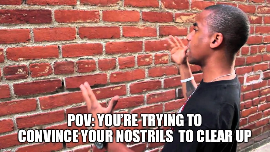 Illness | POV: YOU’RE TRYING TO CONVINCE YOUR NOSTRILS  TO CLEAR UP | image tagged in talking to wall | made w/ Imgflip meme maker