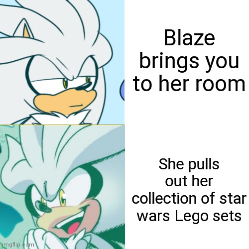 Exciting | Blaze brings you to her room; She pulls out her collection of star wars Lego sets | image tagged in memes,drake hotline bling,silver,sonic the hedgehog,one does not simply 420 blaze it | made w/ Imgflip meme maker