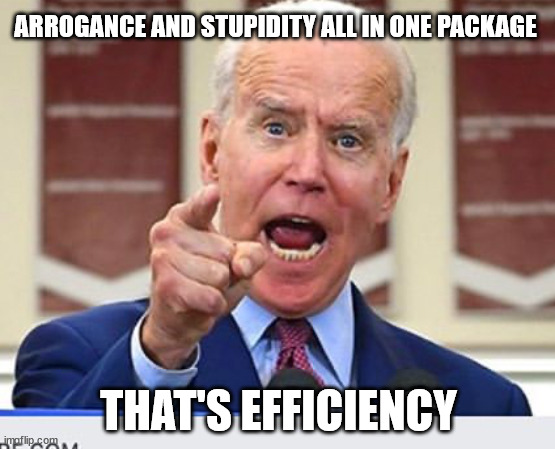 Biden, Dumb as a rock | ARROGANCE AND STUPIDITY ALL IN ONE PACKAGE; THAT'S EFFICIENCY | image tagged in joe biden no malarkey | made w/ Imgflip meme maker
