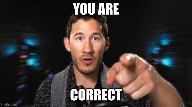 Markiplier pointing | YOU ARE CORRECT | image tagged in markiplier pointing | made w/ Imgflip meme maker