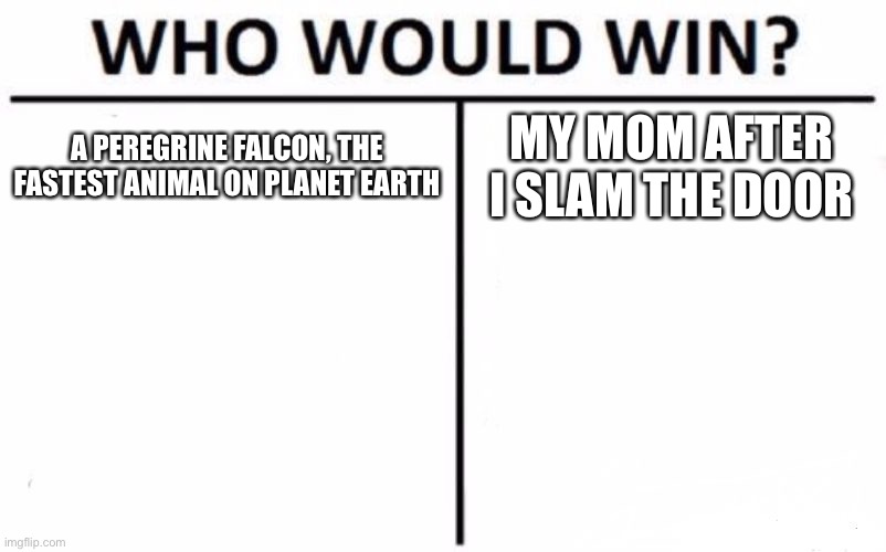Prolly my mom ngl | A PEREGRINE FALCON, THE FASTEST ANIMAL ON PLANET EARTH; MY MOM AFTER I SLAM THE DOOR | image tagged in memes,who would win | made w/ Imgflip meme maker
