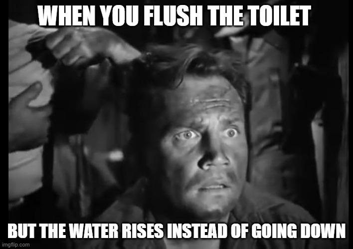 Oh god please no! | WHEN YOU FLUSH THE TOILET; BUT THE WATER RISES INSTEAD OF GOING DOWN | image tagged in 'wait what' solder,toilet,oh no | made w/ Imgflip meme maker