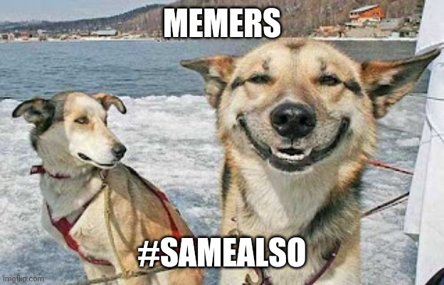 Original Stoner Dog Meme | MEMERS #SAMEALSO | image tagged in memes,original stoner dog | made w/ Imgflip meme maker