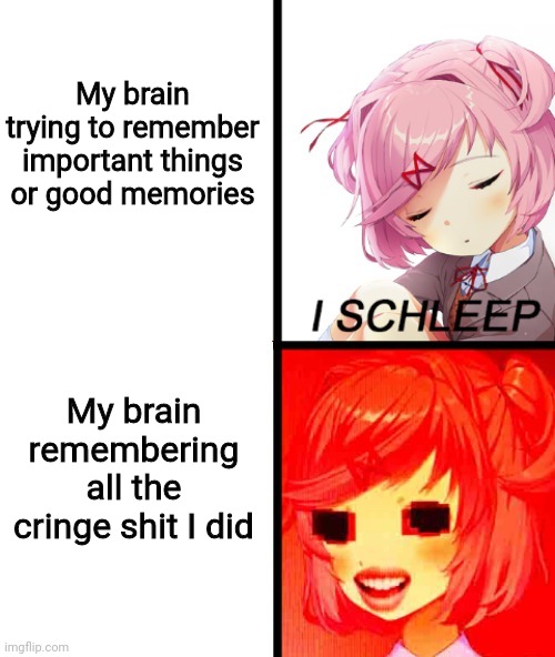 E | My brain trying to remember important things or good memories; My brain remembering all the cringe shit I did | image tagged in natsuki i sleep | made w/ Imgflip meme maker