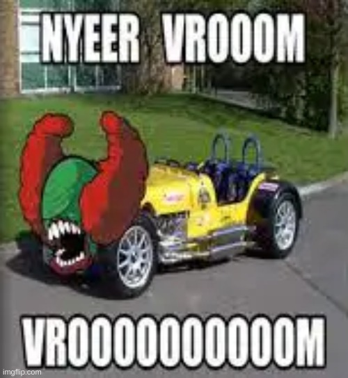 vroom | image tagged in tiky | made w/ Imgflip meme maker
