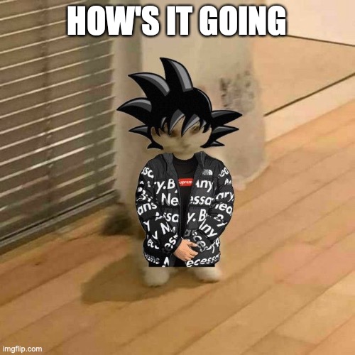 goku drip cat | HOW'S IT GOING | image tagged in goku drip cat | made w/ Imgflip meme maker