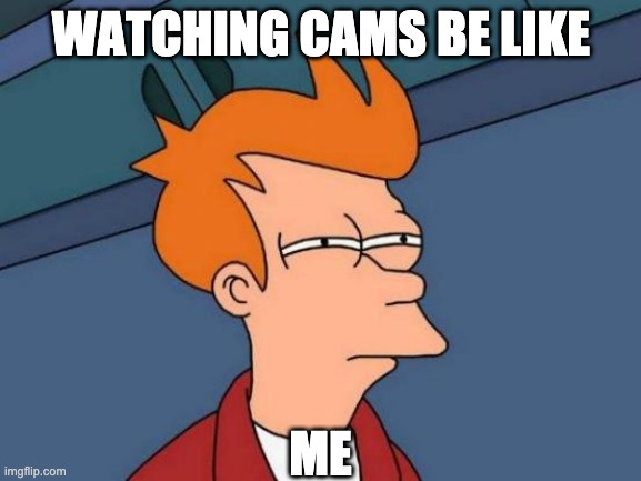 cams | WATCHING CAMS BE LIKE; ME | image tagged in memes,futurama fry | made w/ Imgflip meme maker