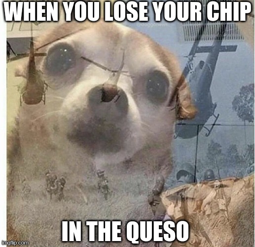 sad face | WHEN YOU LOSE YOUR CHIP; IN THE QUESO | image tagged in ptsd chihuahua | made w/ Imgflip meme maker