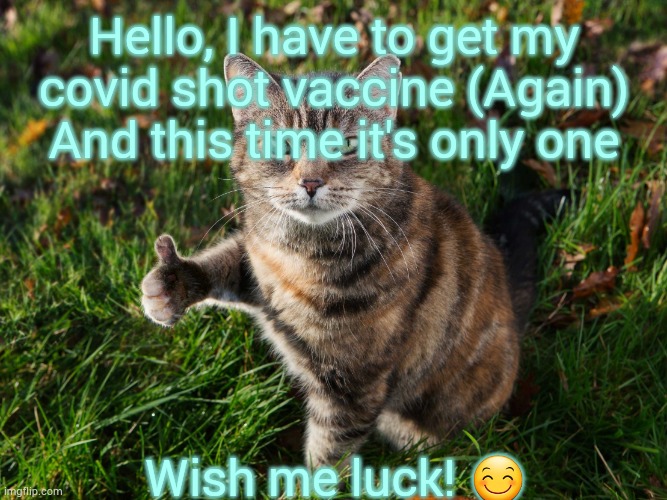 Please read! | Hello, I have to get my covid shot vaccine (Again) And this time it's only one; Wish me luck! 😊 | image tagged in thumbs up cat,important,vaccine,covid-19 | made w/ Imgflip meme maker