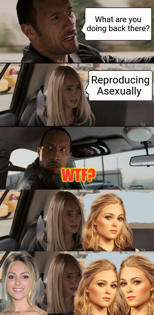 Too many Annasophias! | What are you doing back there? Reproducing Asexually; WTF? | image tagged in memes,the rock driving,asexual,reproduction,clones,annasophia robb | made w/ Imgflip meme maker
