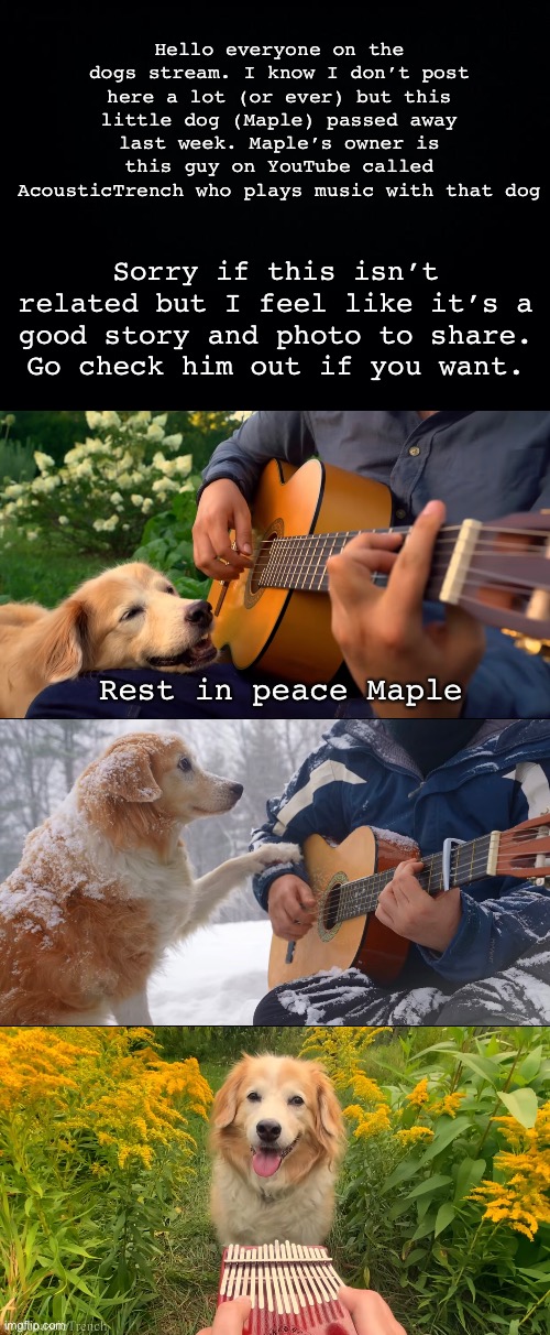 peace out dog meme