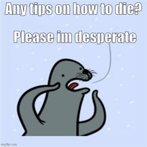 :3 | Any tips on how to die? Please im desperate | image tagged in gay seal | made w/ Imgflip meme maker