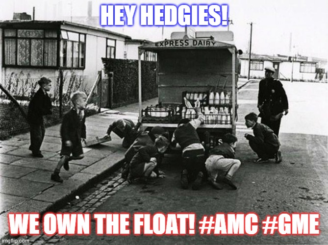Own The Float | HEY HEDGIES! WE OWN THE FLOAT! #AMC #GME | image tagged in amc,gme,ownthefloat,apes | made w/ Imgflip meme maker