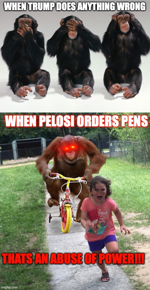WHEN TRUMP DOES ANYTHING WRONG; WHEN PELOSI ORDERS PENS; THATS AN ABUSE OF POWER!!! | image tagged in three monkeys,orangutan chasing girl on a tricycle | made w/ Imgflip meme maker