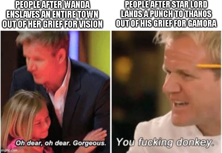 Gordon Ramsay kids vs adults |  PEOPLE AFTER WANDA ENSLAVES AN ENTIRE TOWN OUT OF HER GRIEF FOR VISION; PEOPLE AFTER STAR LORD LANDS A PUNCH TO THANOS OUT OF HIS GRIEF FOR GAMORA | image tagged in gordon ramsay kids vs adults | made w/ Imgflip meme maker